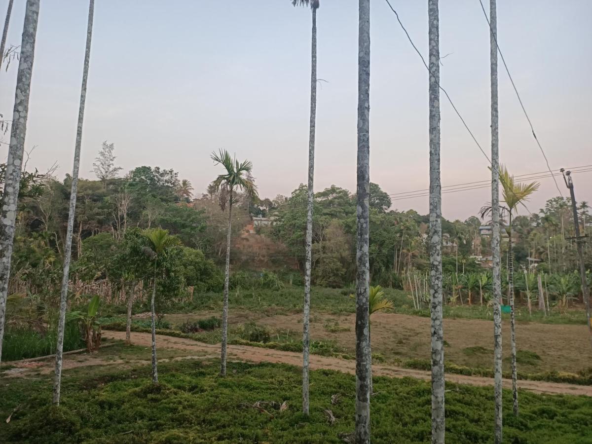 Bethel Service Villa, Mananthavady, Wayanad Buitenkant foto